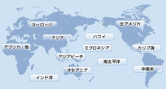 世界地図